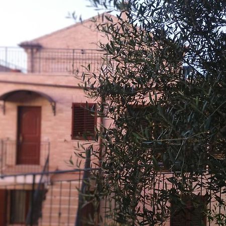 Nonna Caro Hotel Fermo Bagian luar foto